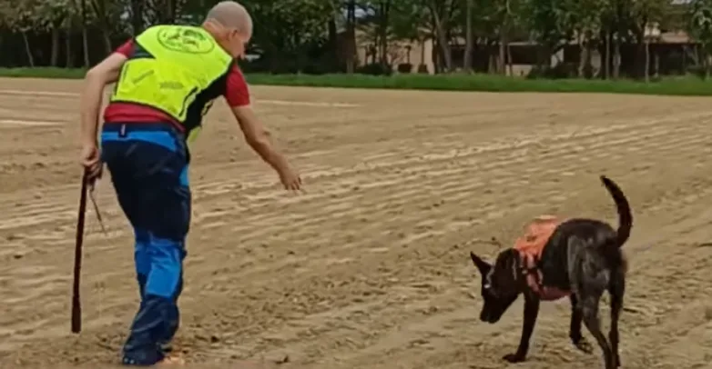 Mirko e Sole durante l'addestramento e la ricerca sul campo